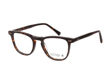 קאטליה C2 49 CASTANEA CY462