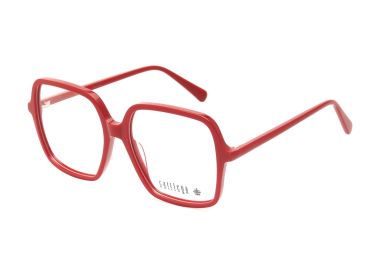 קאטליה C3 53 DAPHNE CY498