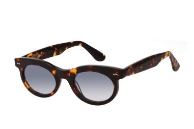 קאטליה C2 49 ORCHIDACEAE CY455