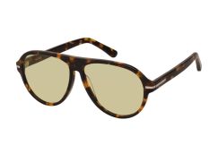 קאטליה C2 59 CORYDALIS CY429